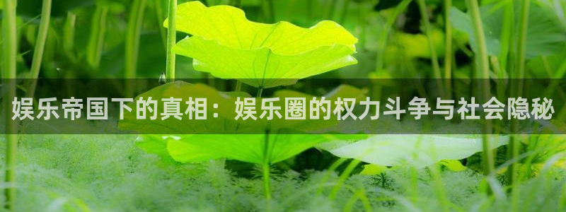 百达娱乐：娱乐帝国下的真相：娱乐圈的权力斗争与社会隐秘