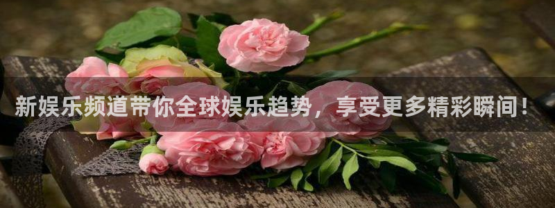 百达娱乐：新娱乐频道带你全球娱乐趋势，享受更多精彩瞬间！