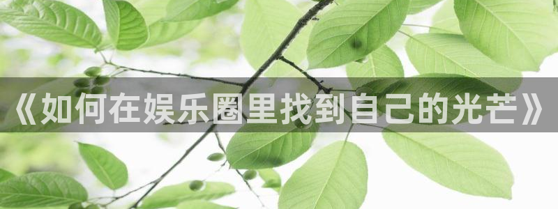 百达娱乐：《如何在娱乐圈里找到自己的光芒》