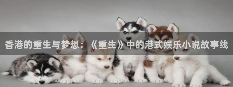 百达娱乐
